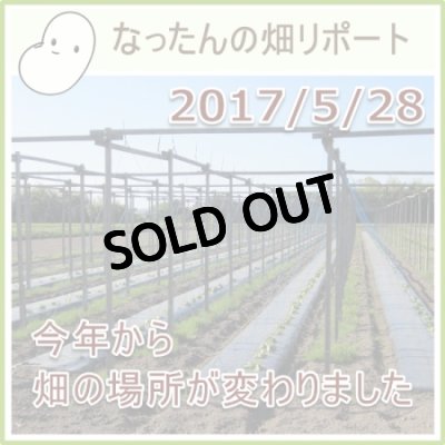なったんの【大山のなたまめ畑リポート】2017/5/28今年から畑の場所が変わりました