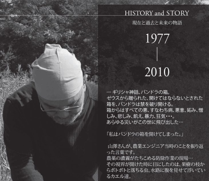 山澤清 HISTORY and STORY